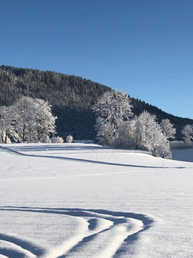 Lindenhof Inzell - Fewo Mit Chiemgaukarte Exterior foto